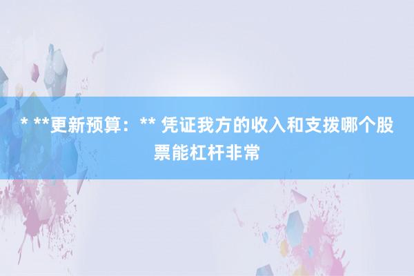 * **更新预算：** 凭证我方的收入和支拨哪个股票能杠杆非常